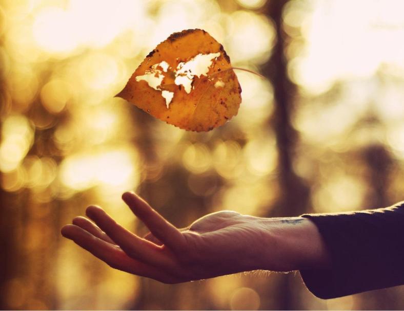 Autore Joel Robinson