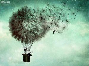 644134_522056934489206_4385528_n