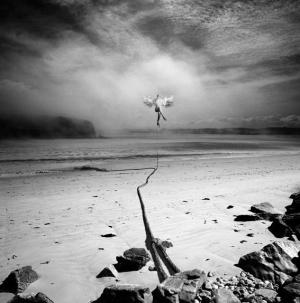 223727_4650190861756_154171595_n