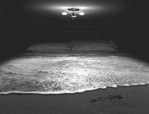 603845_451372851617959_1707150548_n