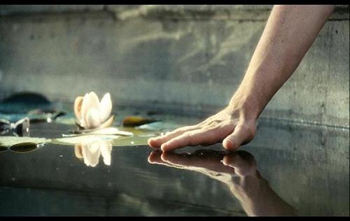 7132065_e21f5d07c2_m