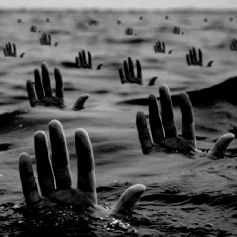 11188344_10205489461214640_626396775506429105_n