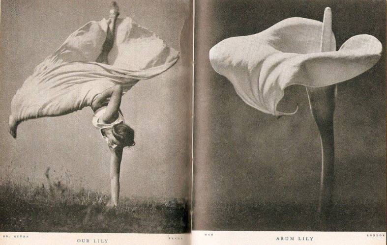 154799_480061595449544_1120180077_n