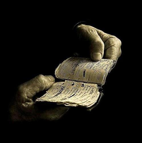 310049_499627103423271_721589275_n