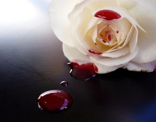 483940_494784573907524_733279146_n