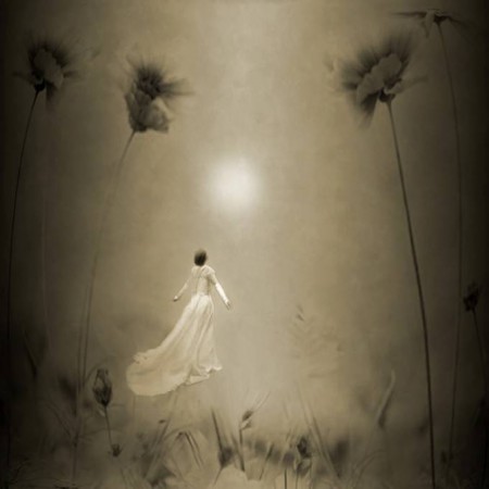 e61b117a73_5706103_lrg