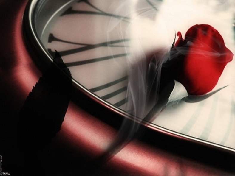 254847__clock-and-rose-petal_p