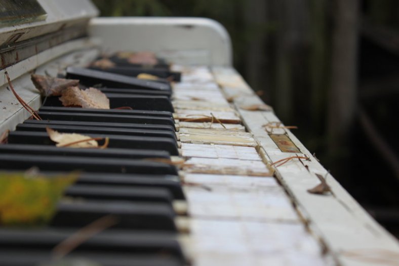 132733__photos-keys-piano-old-broken-leaves-autumn-macro-musical-instrument_p