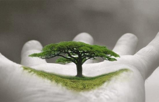 223727_528452623849637_1776198577_n